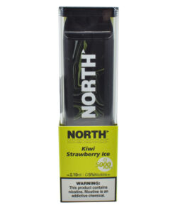 Available Now 9 North 10ML 5000 PuffsRechargeable Disposable Vape Device With Mesh Coil E liquid Battery Indicator kiwi strawberry ice