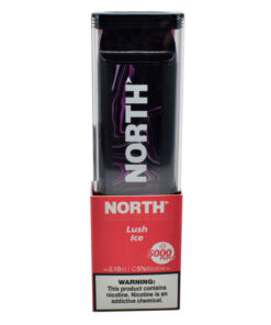 Available Now 17 North 10ML 5000 PuffsRechargeable Disposable Vape Device With Mesh Coil E liquid Battery Indicator lush ice