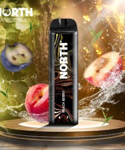 Available Now 23 North5000DisposablePeachBerry