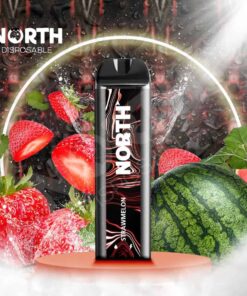 Available Now 23 strawmelon