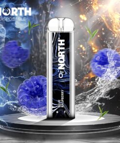 Available Now 5 North5000Disposable0nicotinBlueraspberry