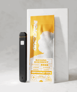 Available Now 1 Banana Sherbert